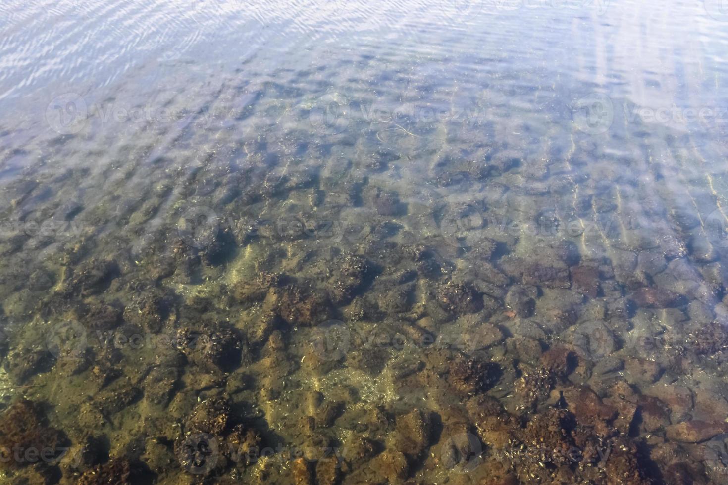 Water surface with waves and ripples and the sunlight reflecting photo