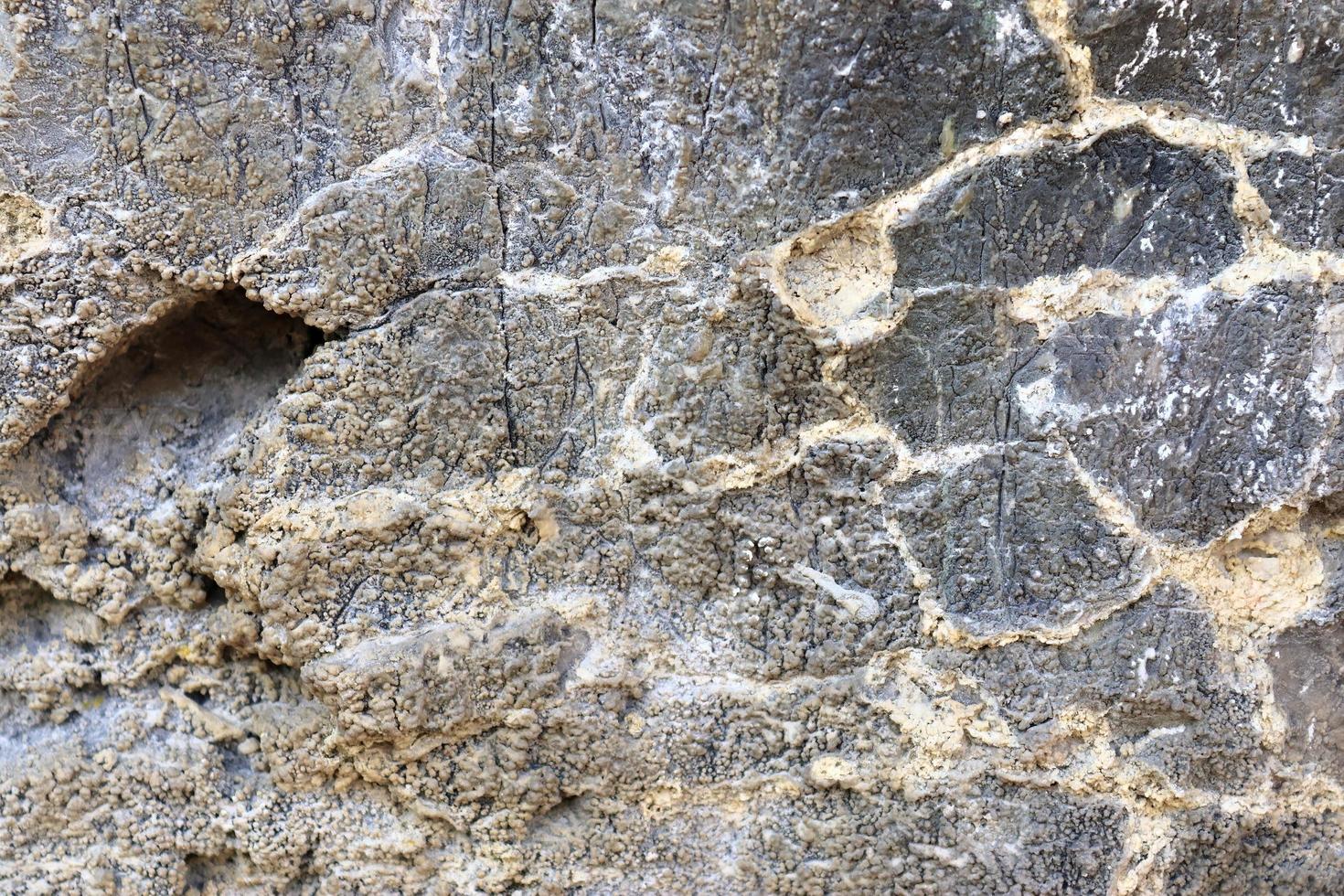 vista de cerca en una pared de piedra caliza natural en las montañas. foto