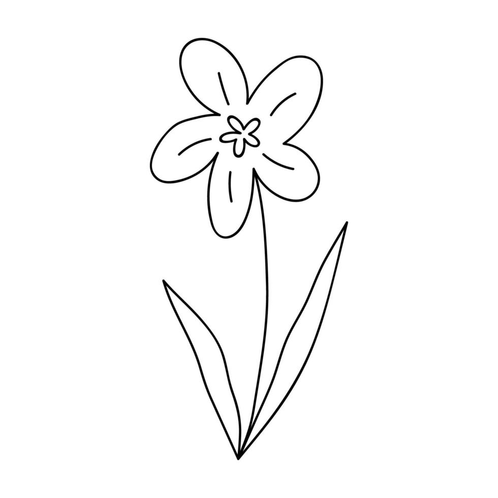 Cute doodle flower isolated on white background. Vector hand-drawn illustration. Perfect for cards, logo, decorations, various designs. Botanical clipart.