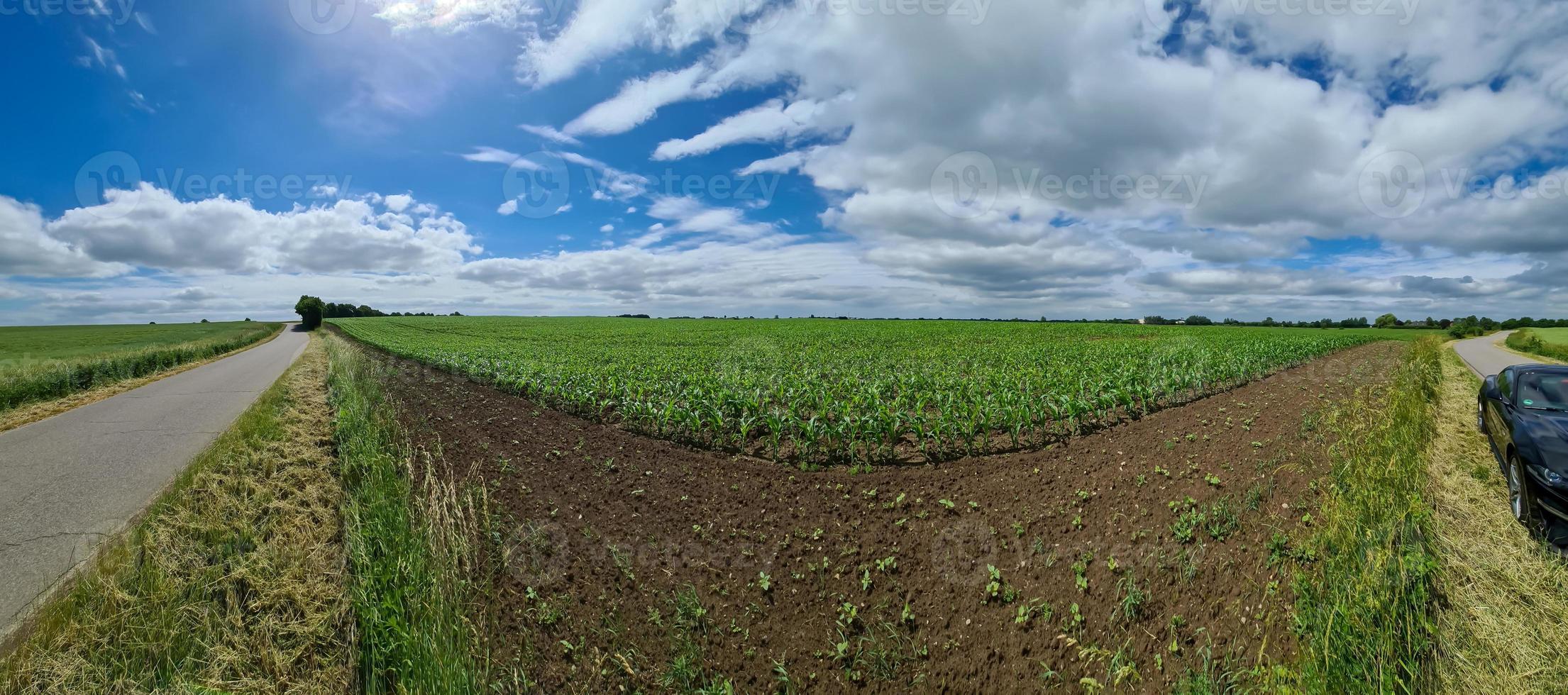 panorama de un paisaje rural del norte de Europa con calles, campos y hierba verde. foto