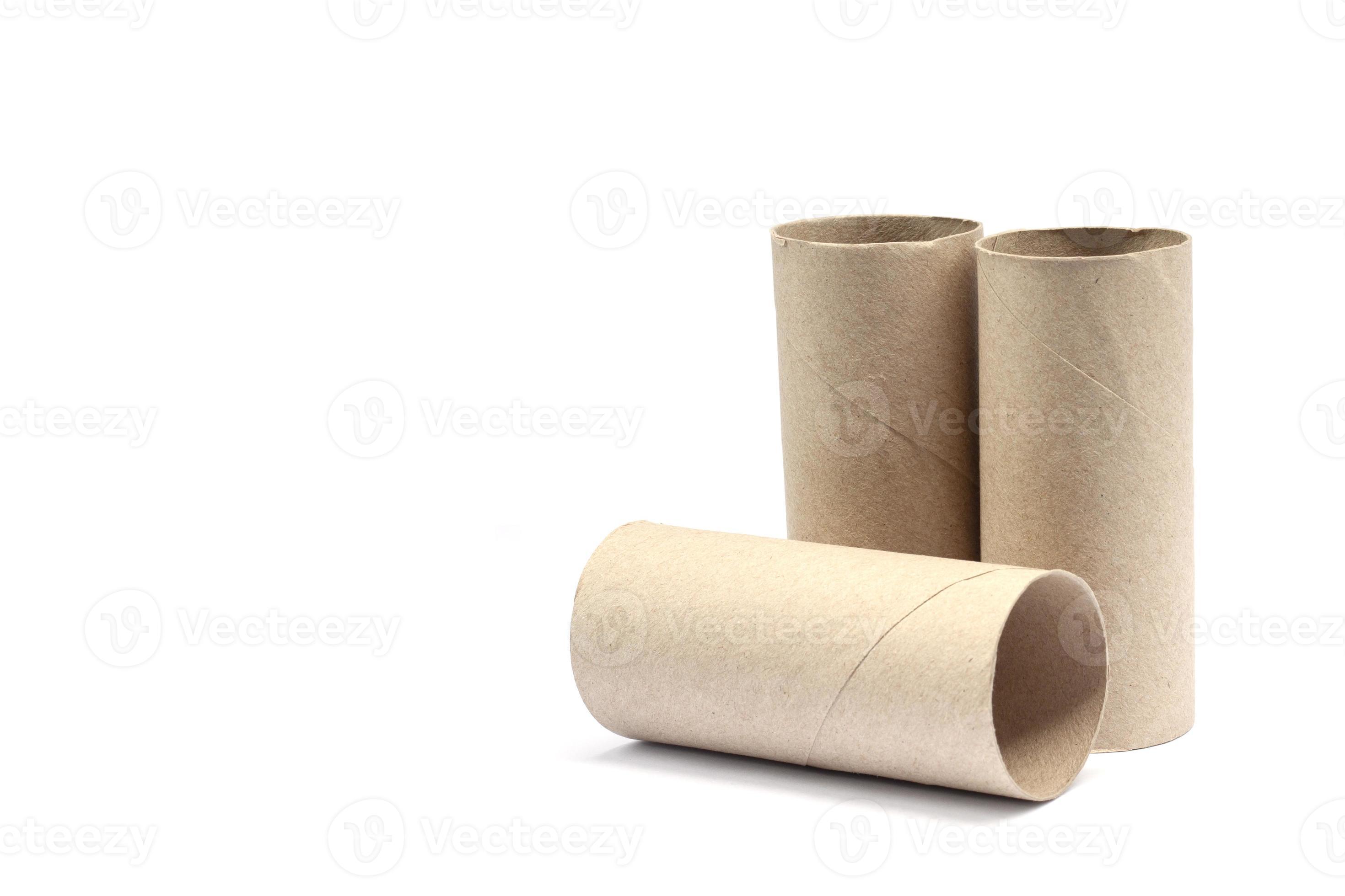 Empty toilet paper roll isolated on a white Stock Photo by Ha4ipuri