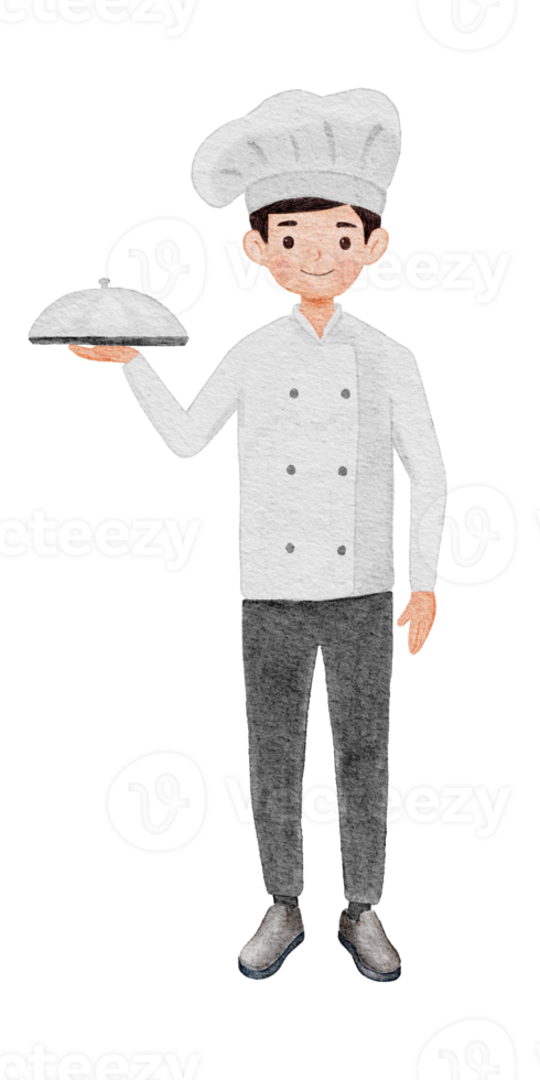 chef cuisinier illustration aquarelle png