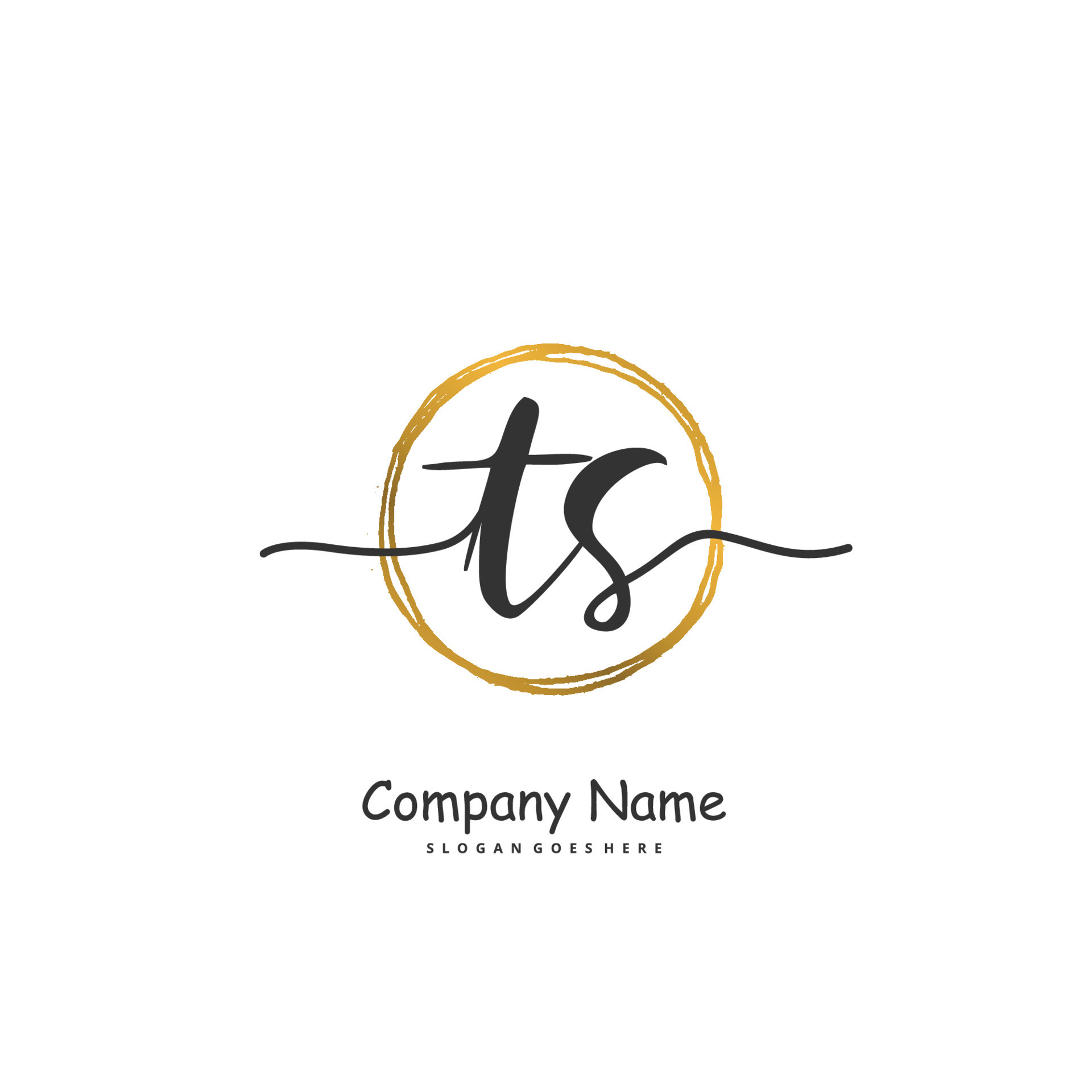 TS Initial handwriting and signature logo design with circle. Beautiful ...