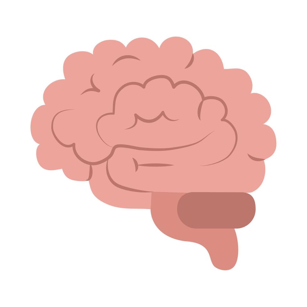 human brain organ think idea isolated flat style icon vector