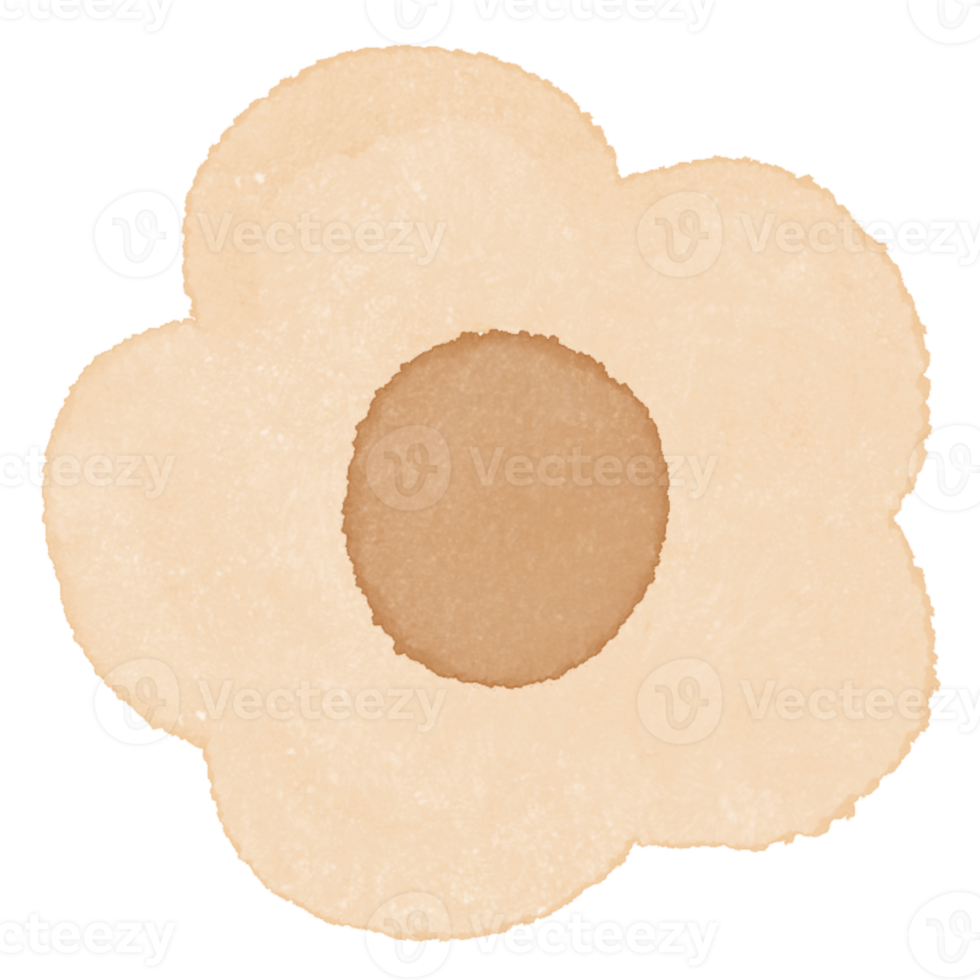 Flower Watercolor Illustration png