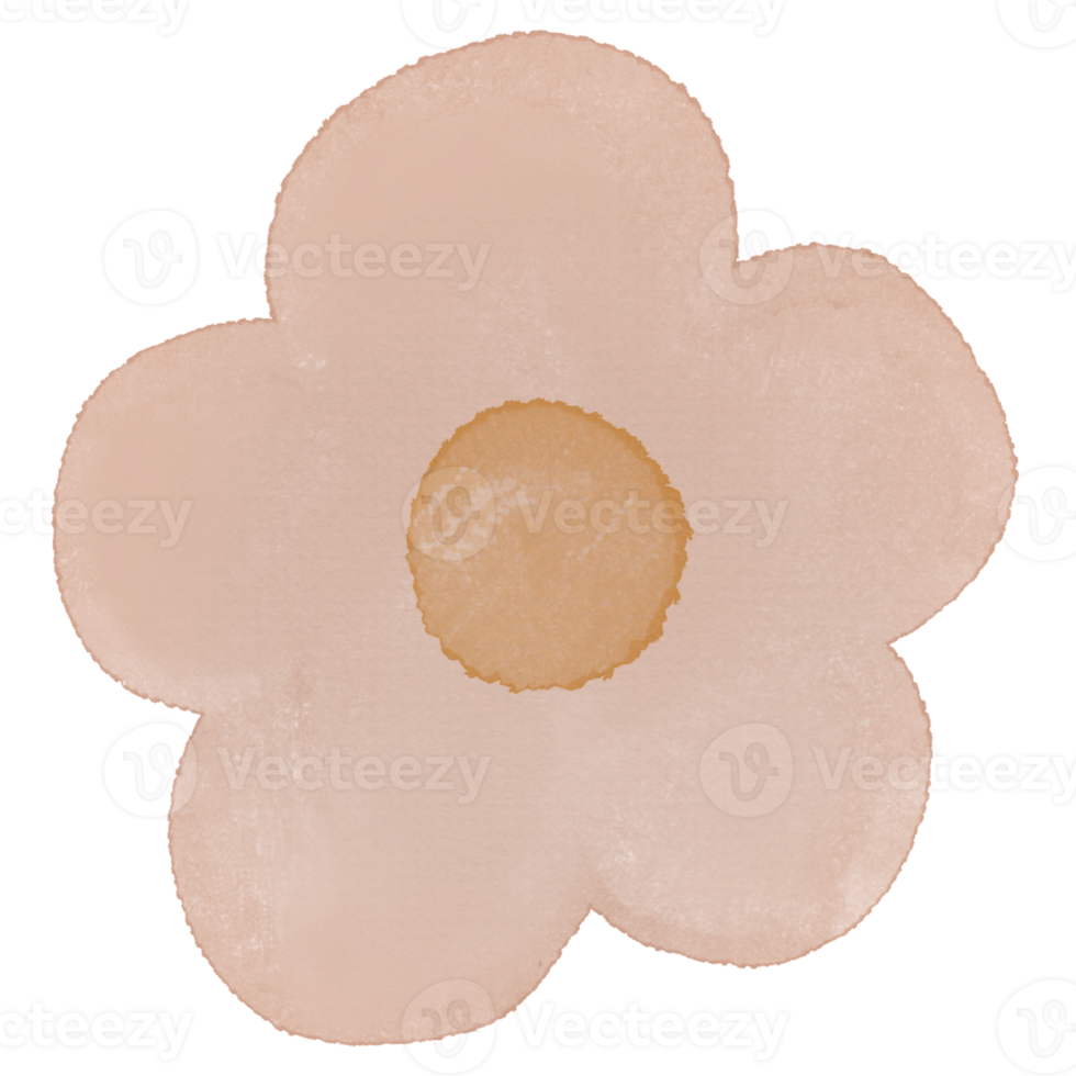 Flower Watercolor Illustration png