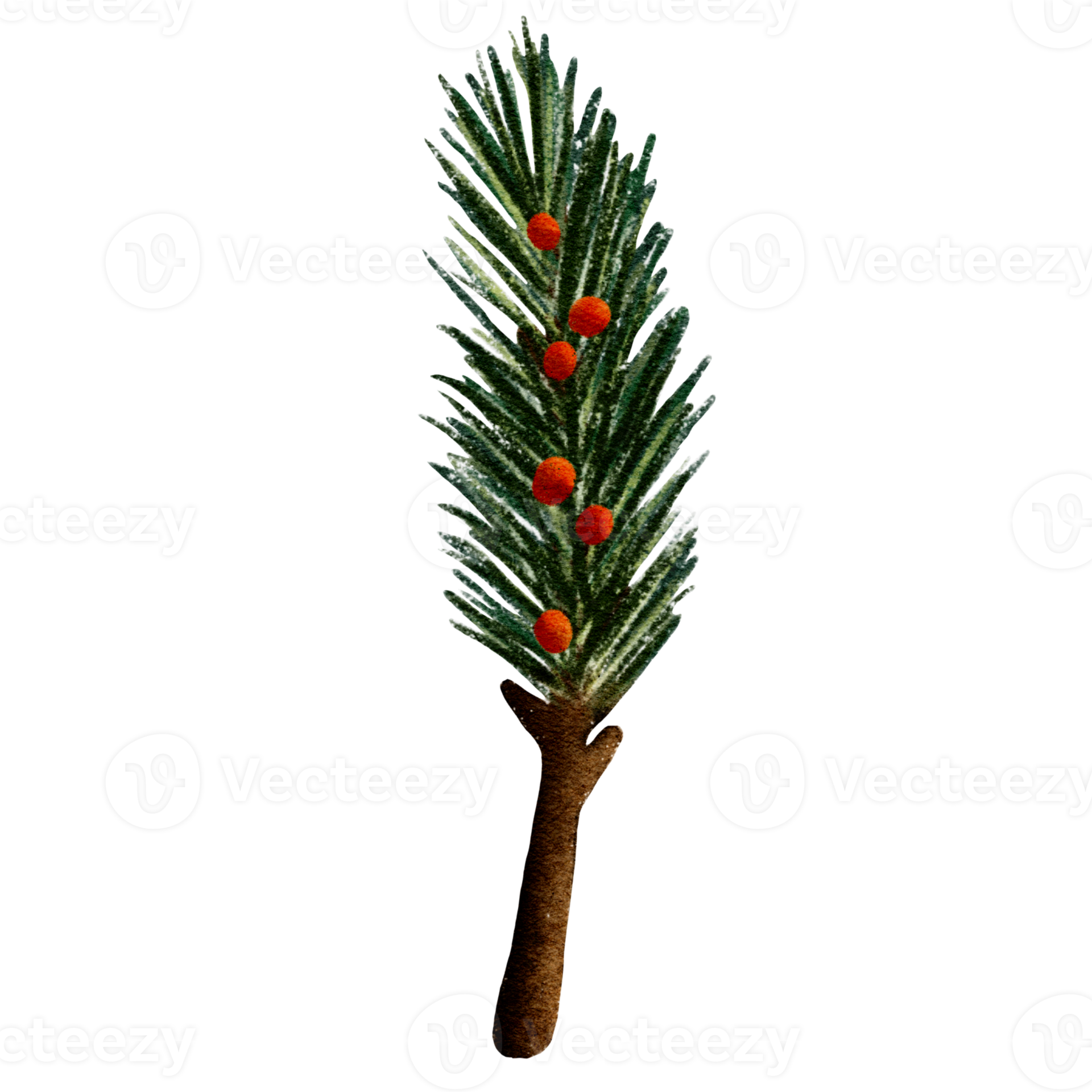 Pine Branches Watercolor Illustration 13166028 PNG