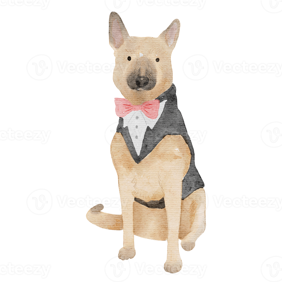 hond waterverf illustratie png