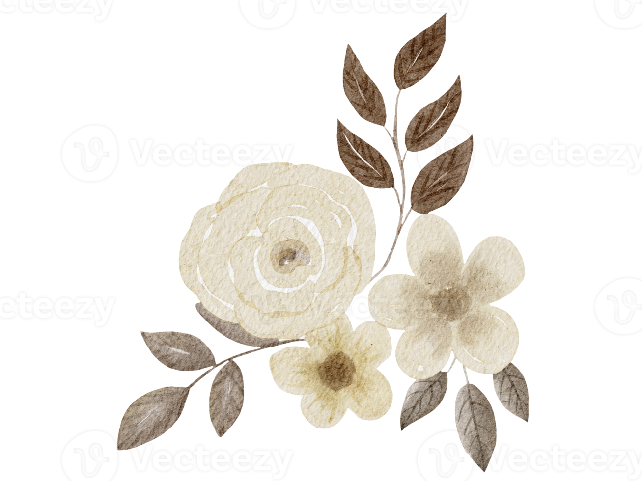 illustration aquarelle de fleurs png