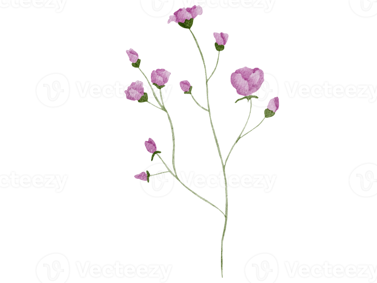 ilustração em aquarela de flores png