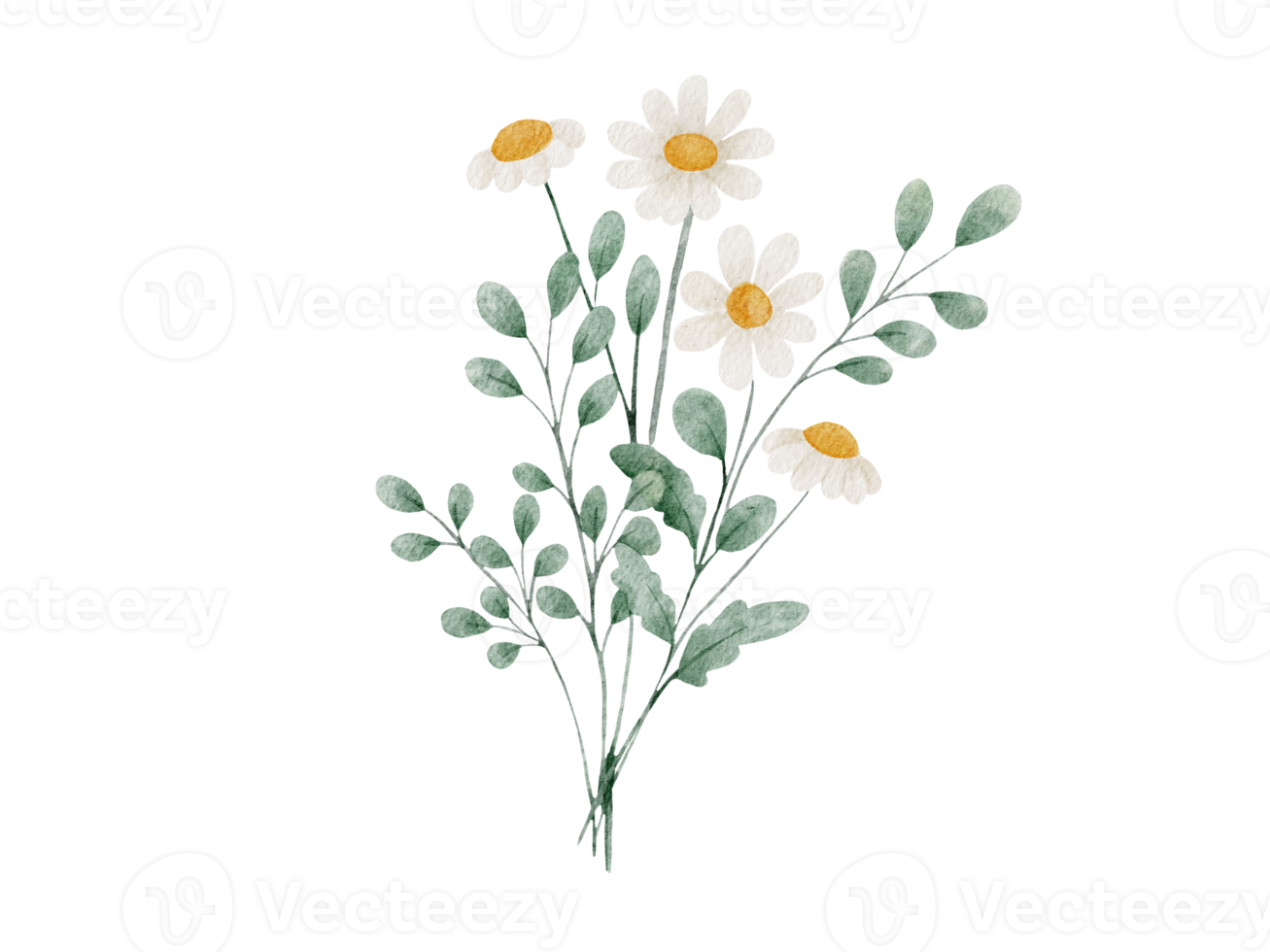 Bouquet Watercolor Illustration png