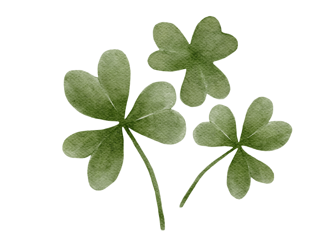 Leaf clovers Watercolor Illustration 13166166 PNG