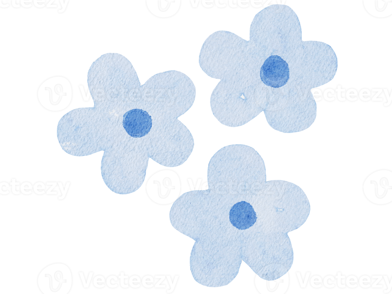 illustrazione dell'acquerello dei fiori png