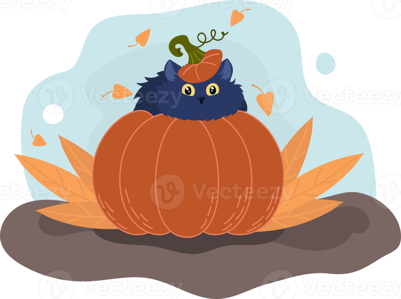 Black cute cat in a Halloween pumpkin. Autumn poster  illustration png