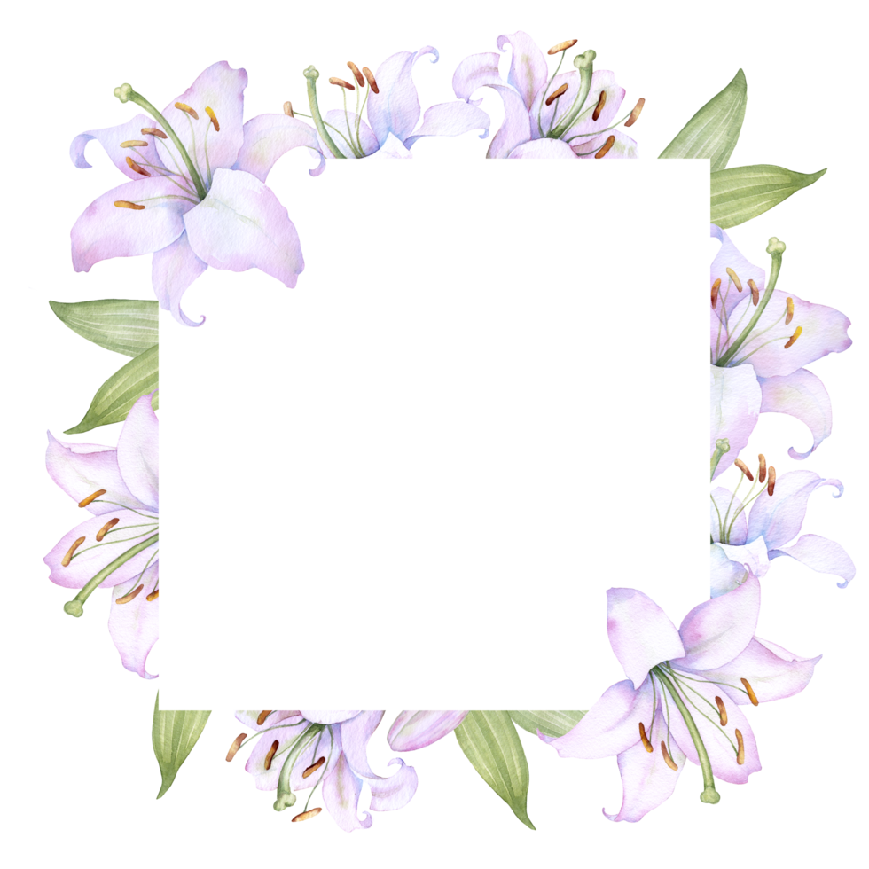 Square l frame with white and pink lily flowers, watercolor illustration, for decorating wedding invitations, albums, and posters png