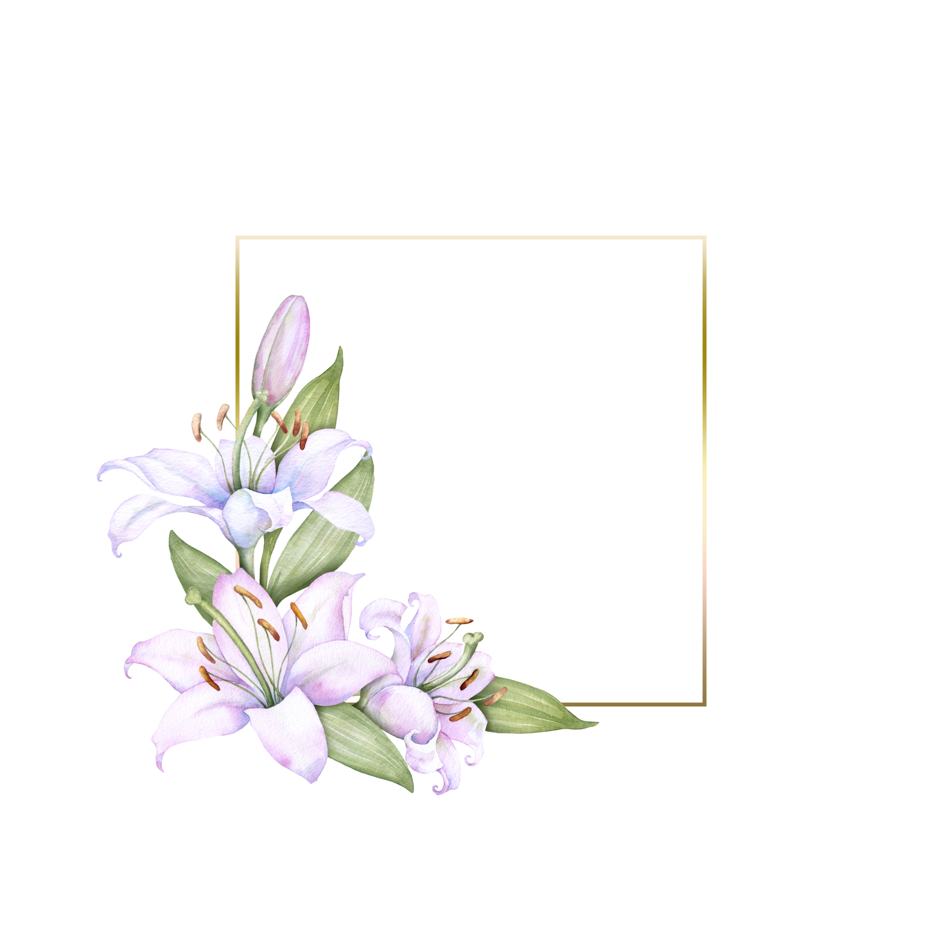 square-gold-metal-frame-with-white-and-pink-lily-flowers-watercolor