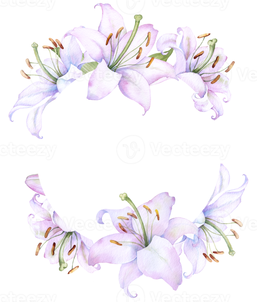 Round frame wreath with white lily flowers, watercolor illustration. Isolated on white. Ideal for decorating wedding invitations, albums, and posters png