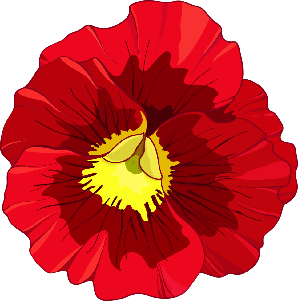 rood en oranje viooltjes, viooltje altviool bloemen png