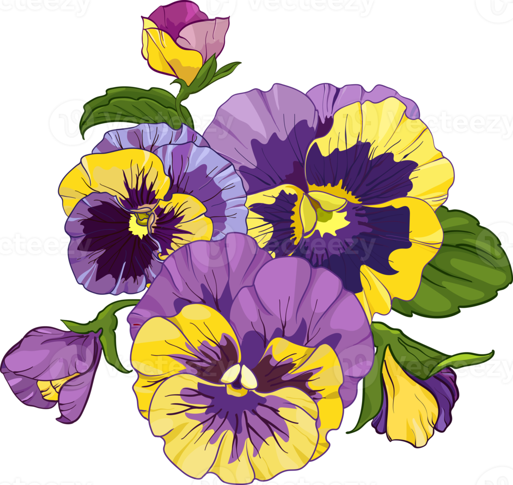 arrangement floral de pensées isolé sur fond blanc. bouquets d'alto, fleurs jaunes et mauves feuilles vertes. png