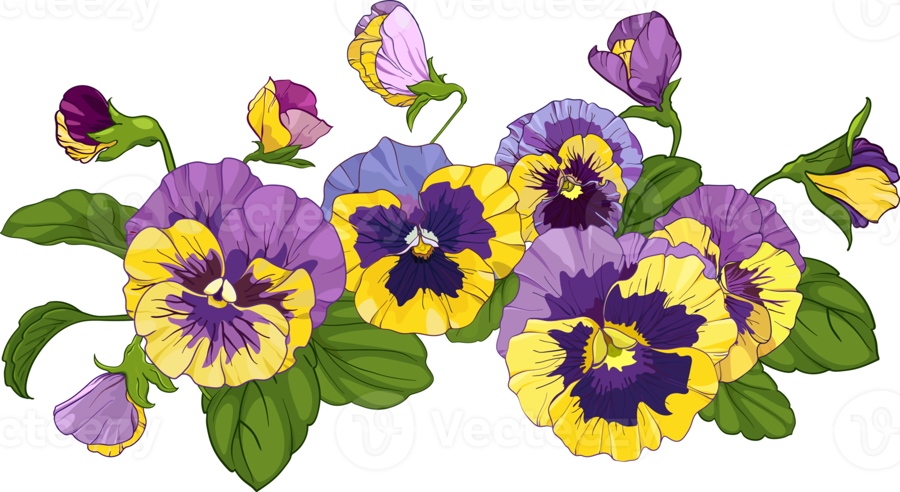 Free arreglo floral de pensamientos aislado sobre un fondo blanco. ramos de  viola, flores amarillas y violetas hojas verdes. 13166368 PNG with  Transparent Background