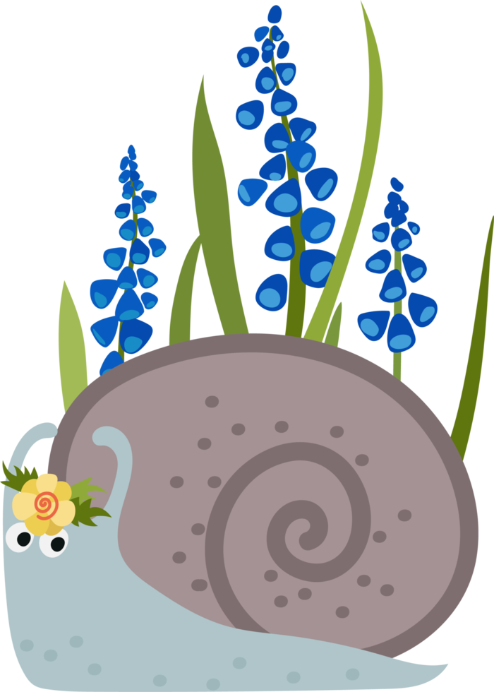 trädgård snigel med blå muscari blommor, vår illustration tecknad serie stil png