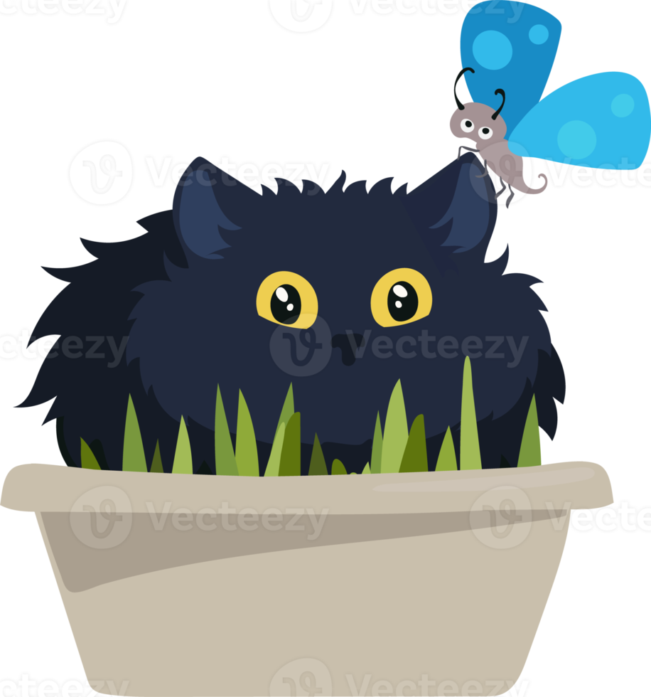 Black cat sits in a flower pot with a blue butterfly png