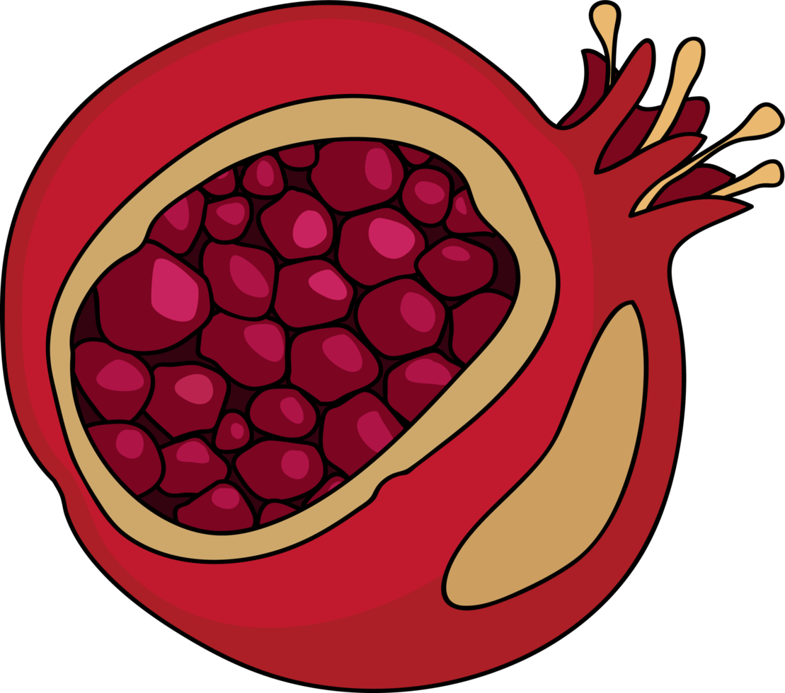rood granaatappel. snijdend granaatappel. rijp granaatappel fruit waarmee blad vector illustratie. geïsoleerd wit achtergrond png