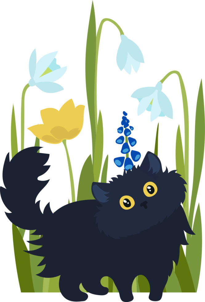 black cat on a background of spring flowers png