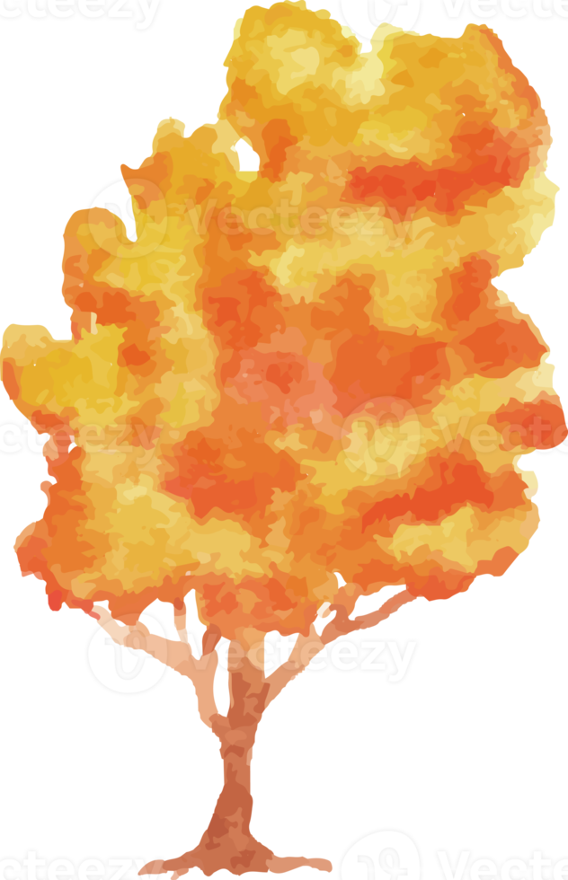 Aquarell Herbstbaum png