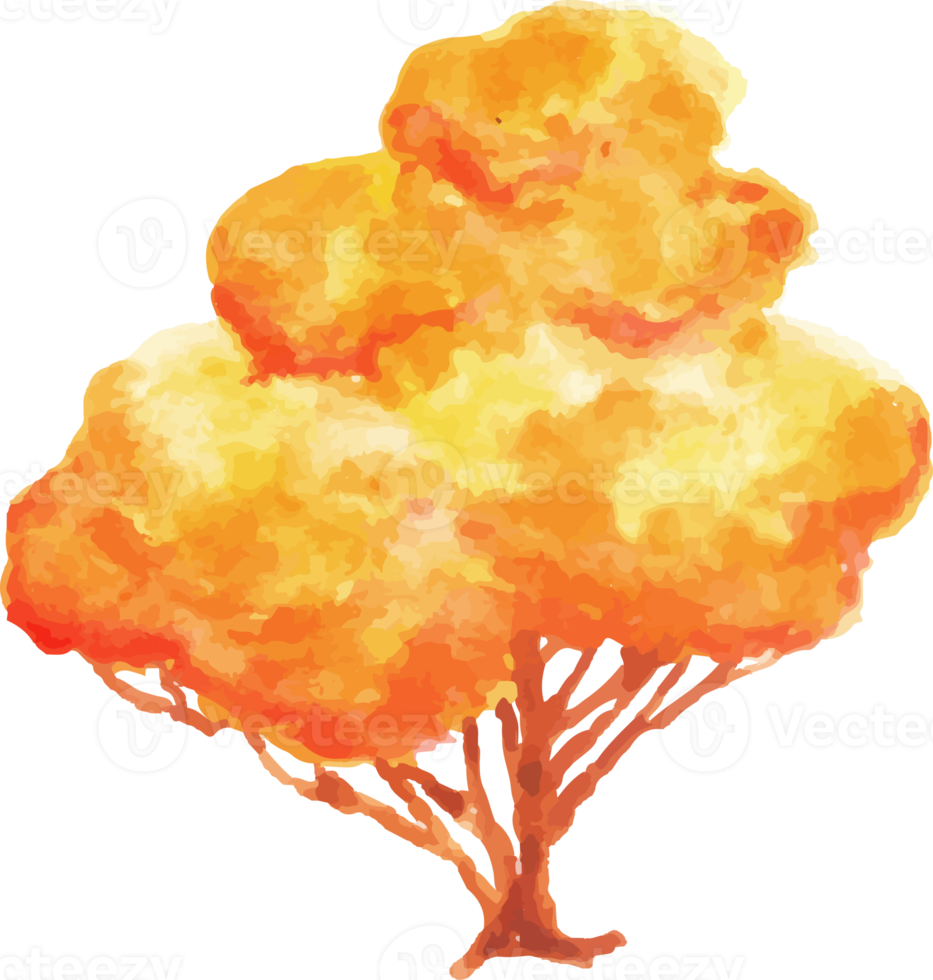 watercolor autumn tree png