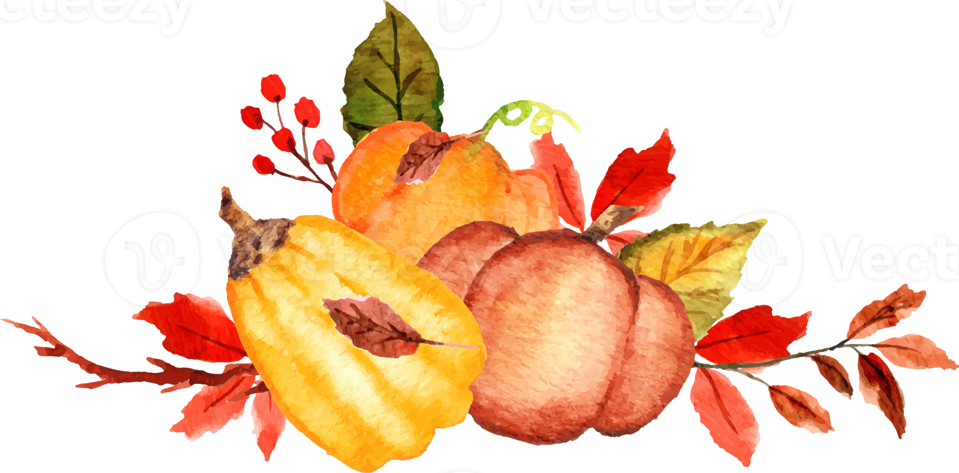 watercolor pumpkin with flower png