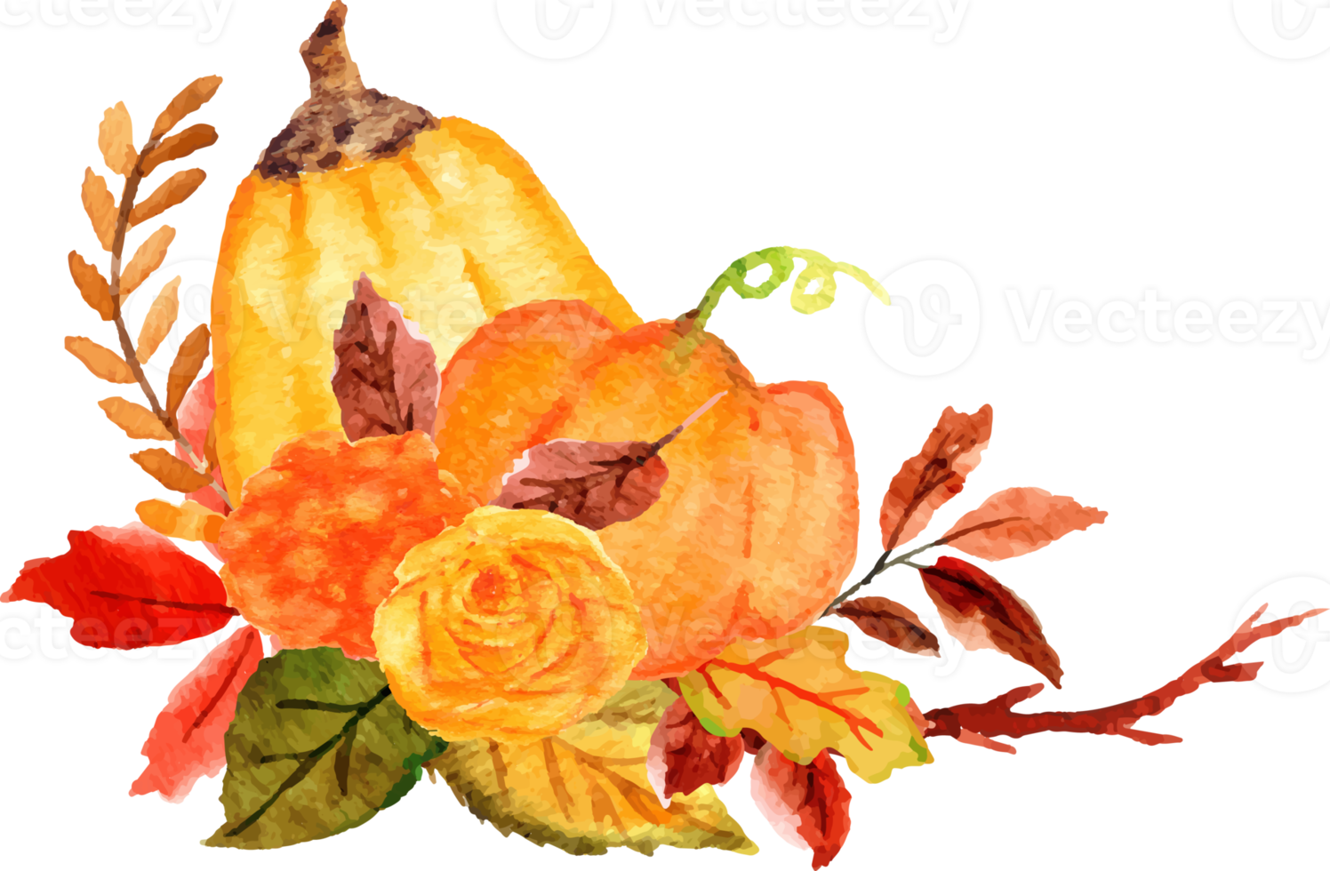 watercolor pumpkin with flower png