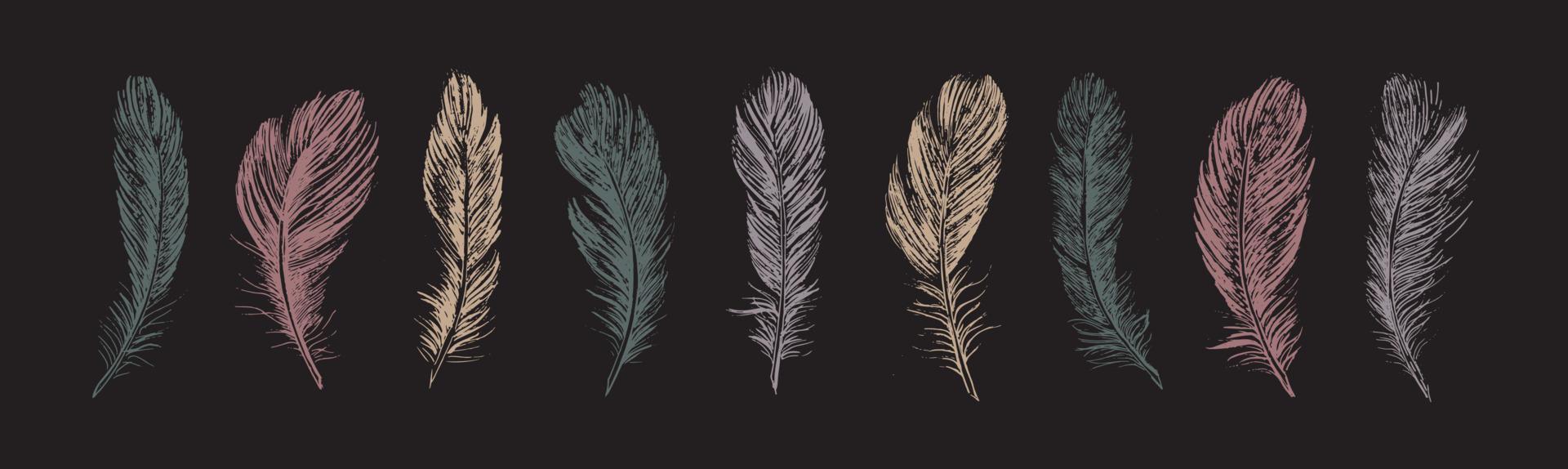 Feathers. Hand drawn sketch style. vector