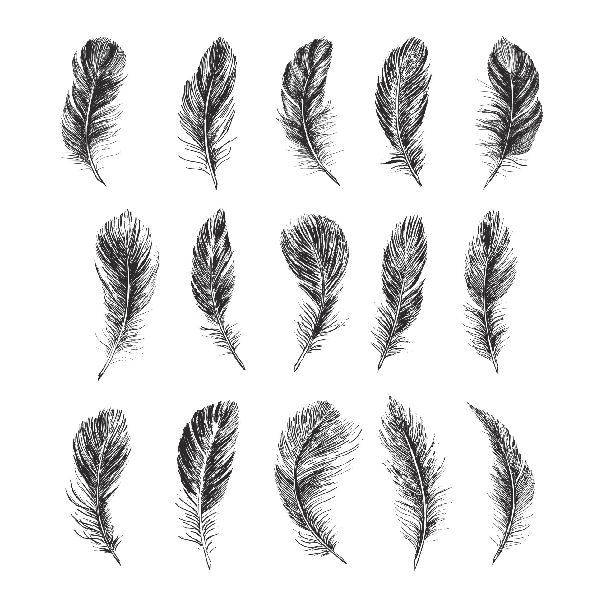 Feathers. Hand drawn sketch style. 13166748 Vector Art at Vecteezy