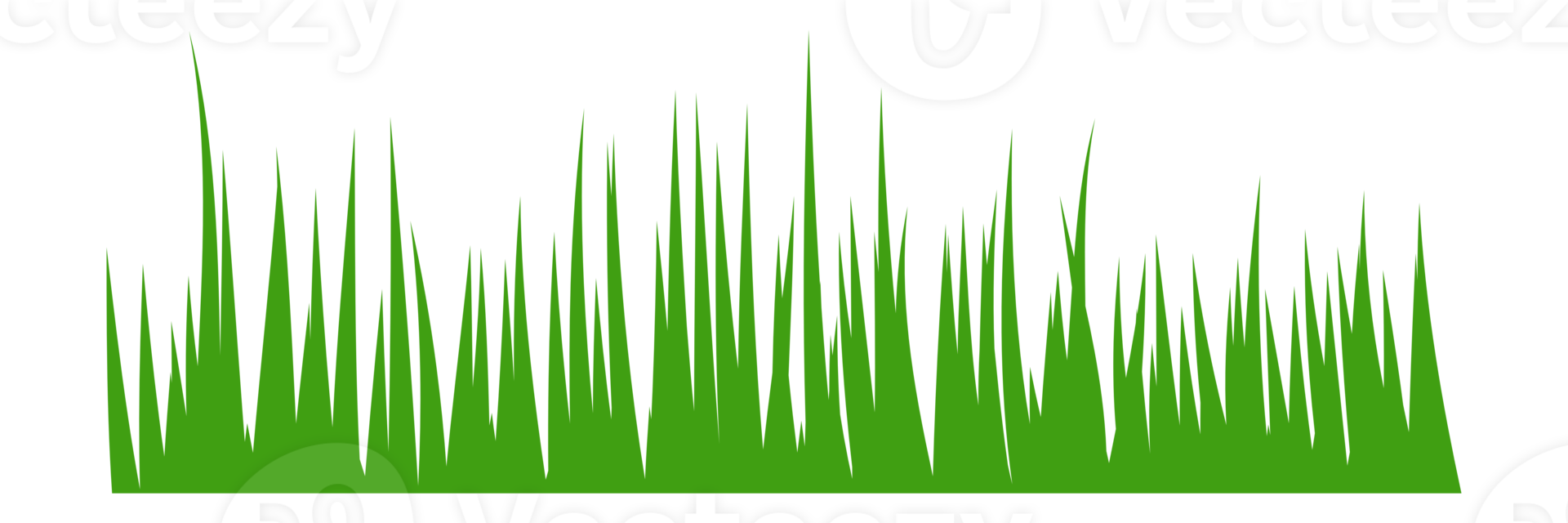 illustration of green grass png