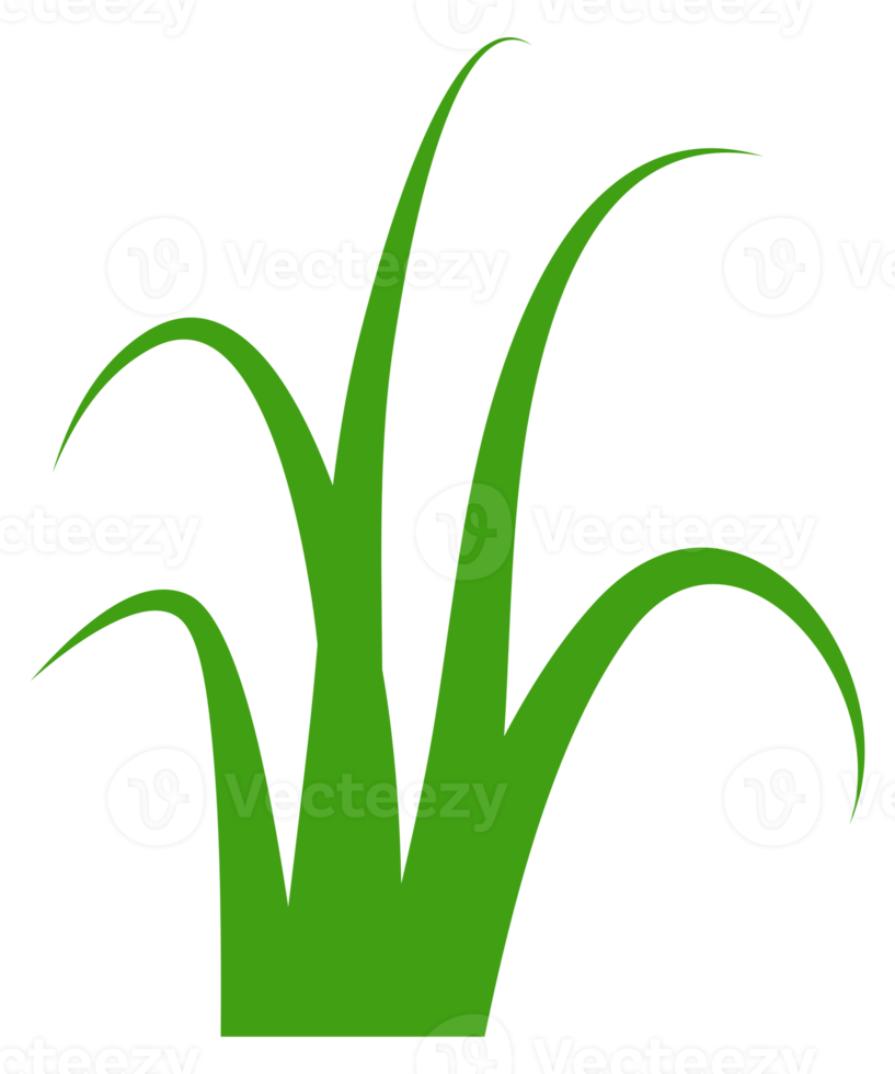 illustration of green grass png