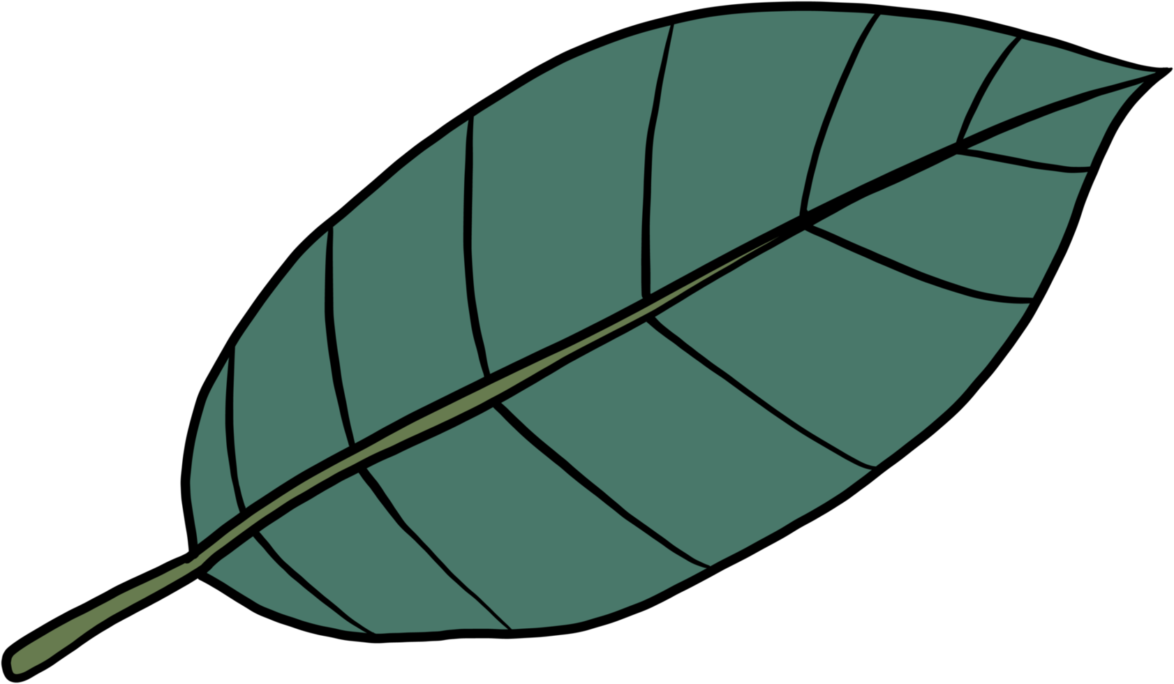 simplicity kratom leaf freehand drawing png