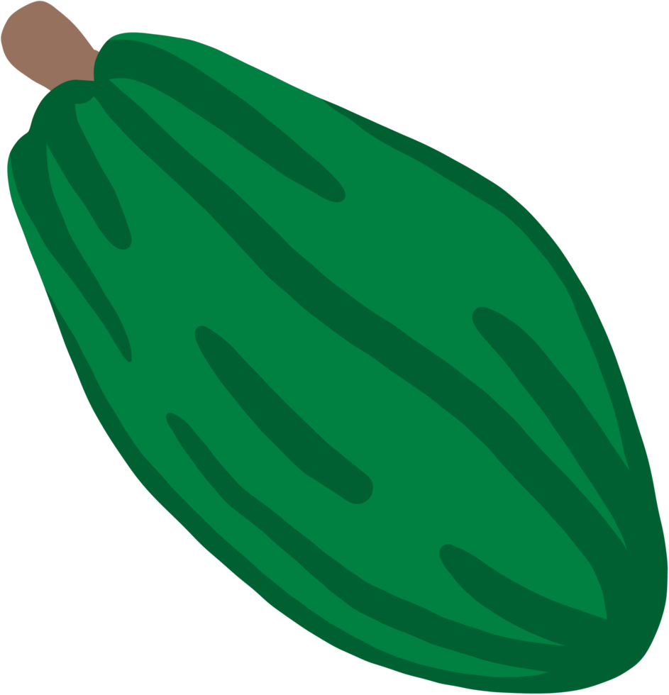 dessin de doodle de fruits de cacao png