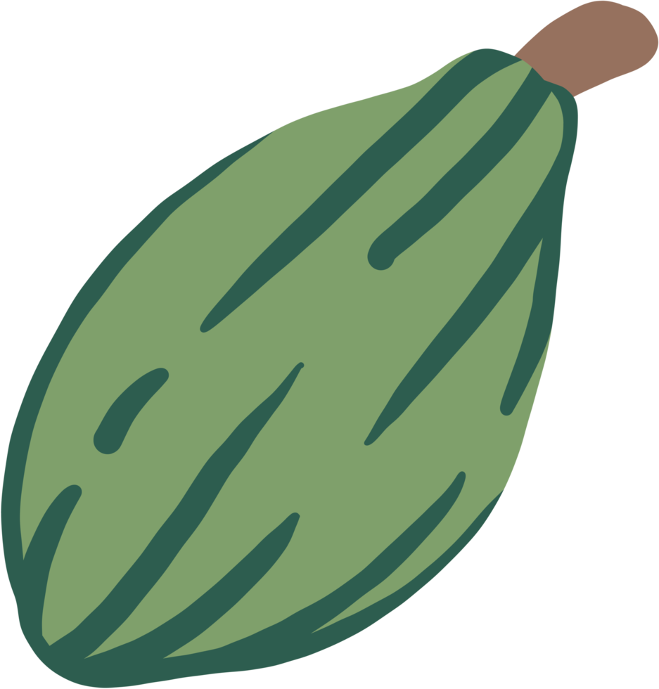 cacao fruit doodle drawing png