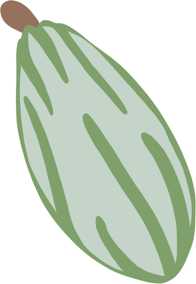 dibujo de garabato de fruta de cacao png