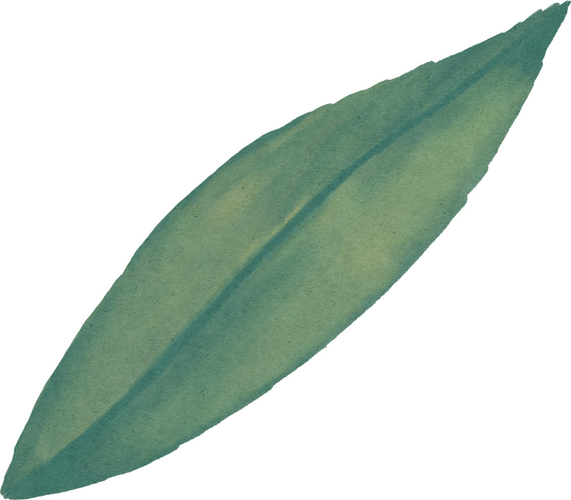 Aquarell Blatt png