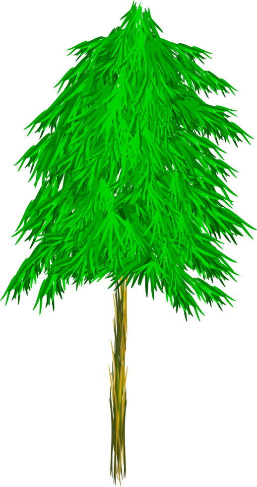 árbol de pino png