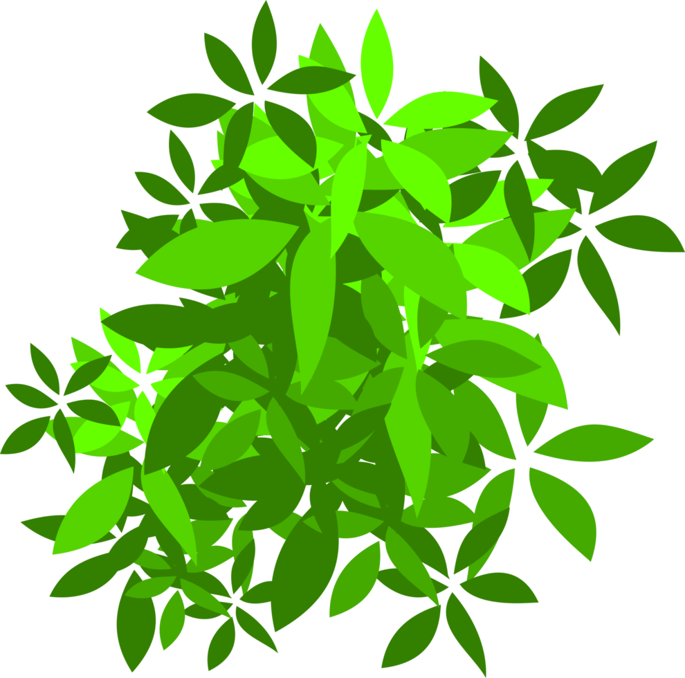 groen struik PNG