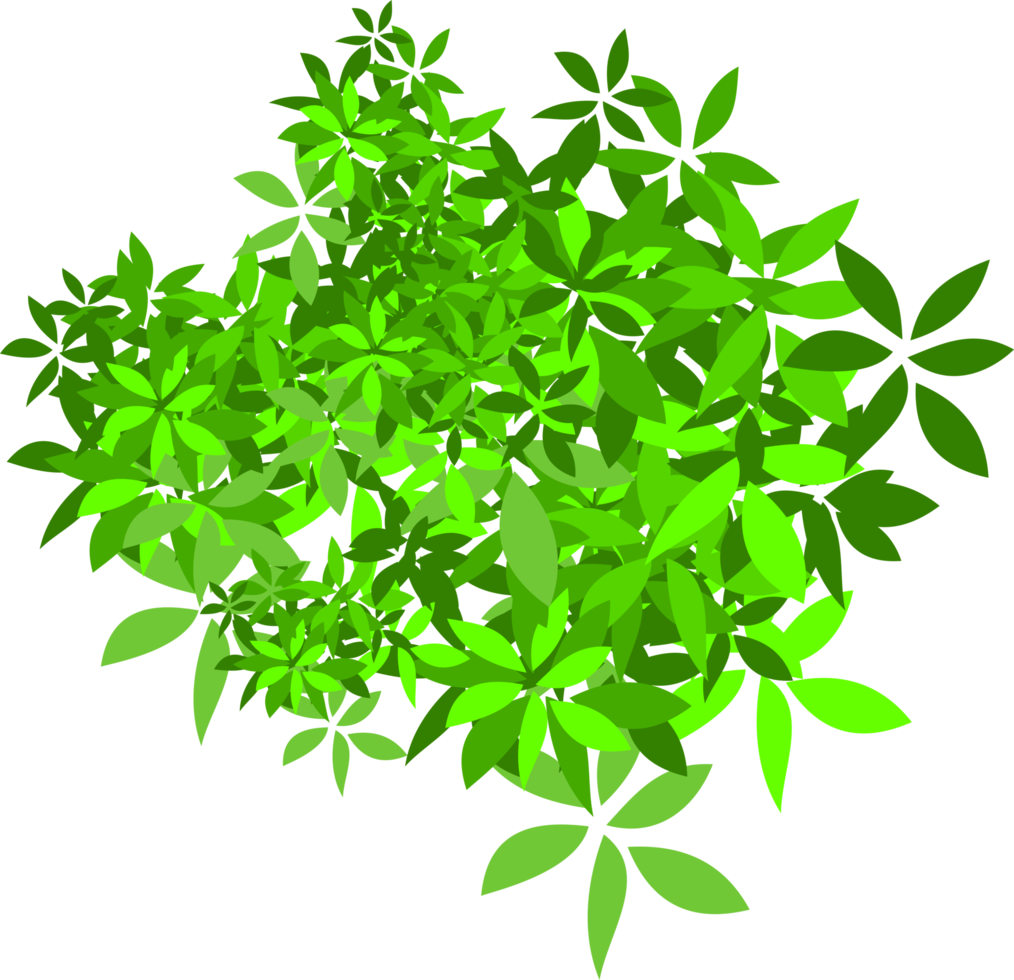 arbusto verde png