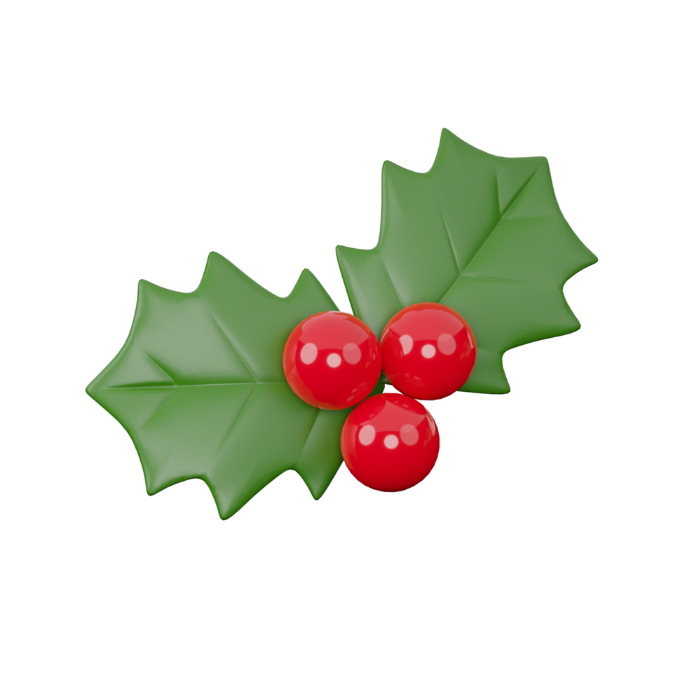 Holly, Christmas and happy new year, decorations. 3D rendering png