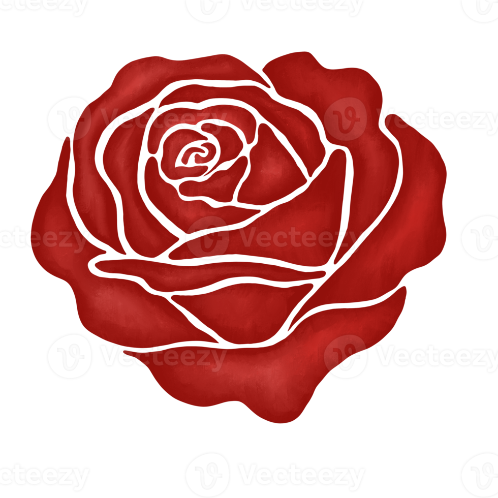 Free ilustración de dibujo de flor rosa roja 13168237 PNG with Transparent Background Free ilustración de dibujo de flor rosa roja 13168237 PNG with Transparent Background