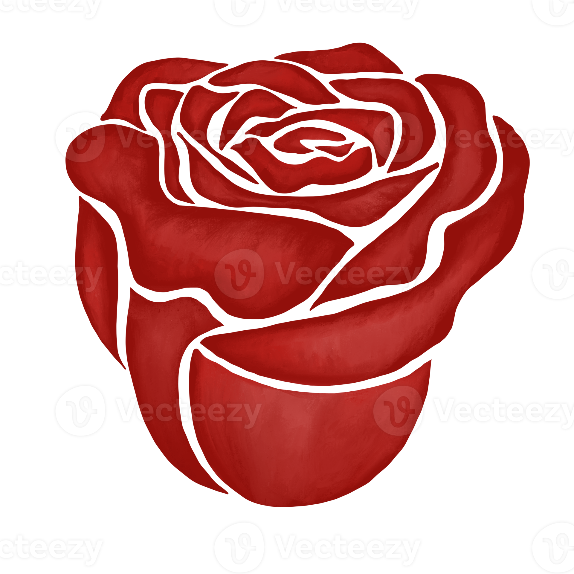 red rose flower drawing illustration 13168240 PNG