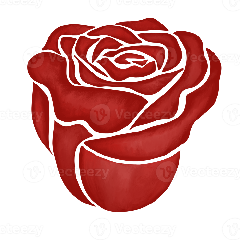 red rose flower drawing illustration png