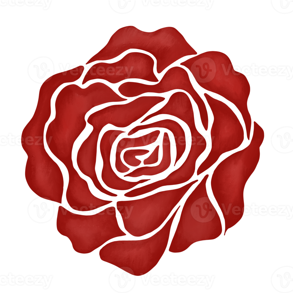 red rose flower drawing illustration png