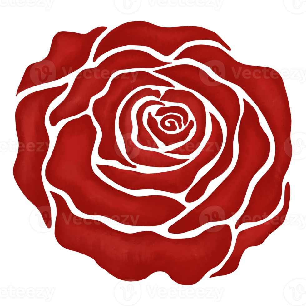 Free ilustración de dibujo de flor rosa roja 13168243 PNG with Transparent  Background